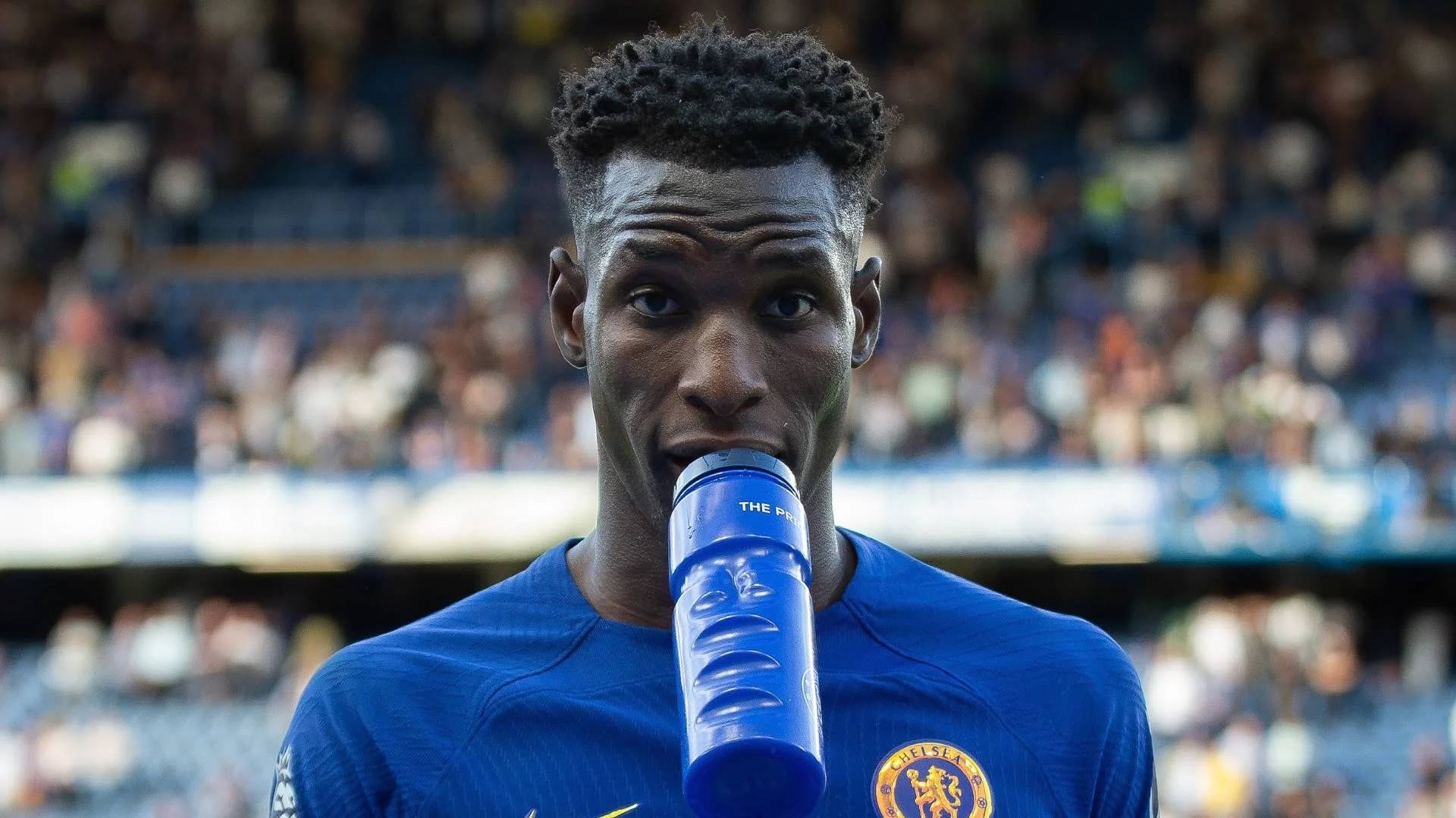 关于莎拉波娃新星挺进下一轮表现惊艳，切尔西未来可期！的信息